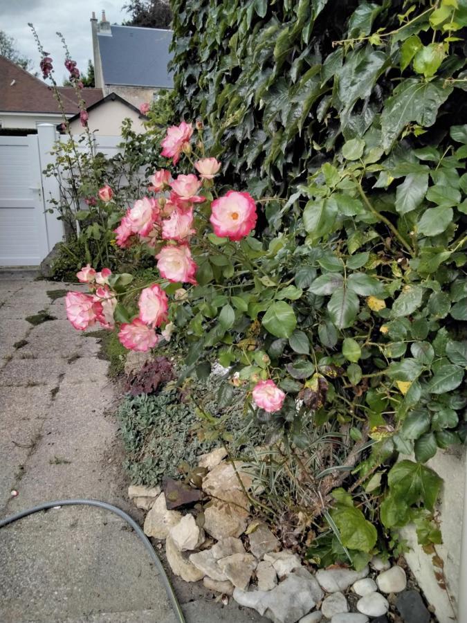 Hortensias Asnelles